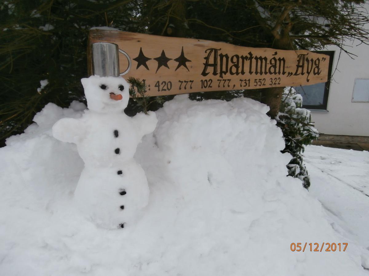 Apartman Aya ヤノフ・ナト・ニソウ エクステリア 写真